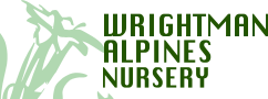 Wrightman Alpines Nursery logo