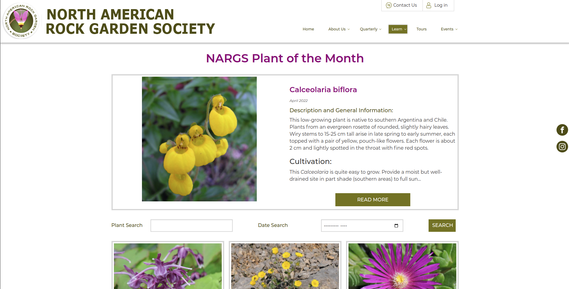 Plant of the month